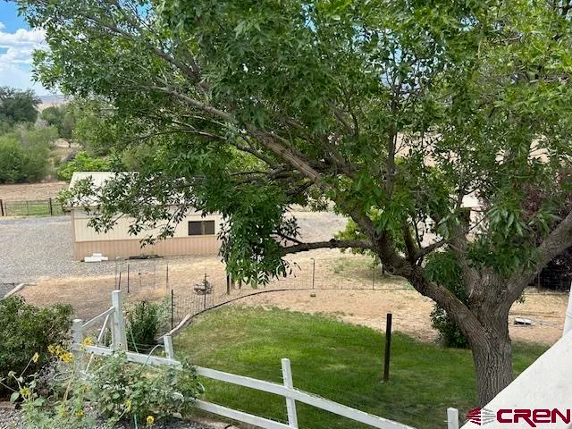 a view of a yard with plants and trees