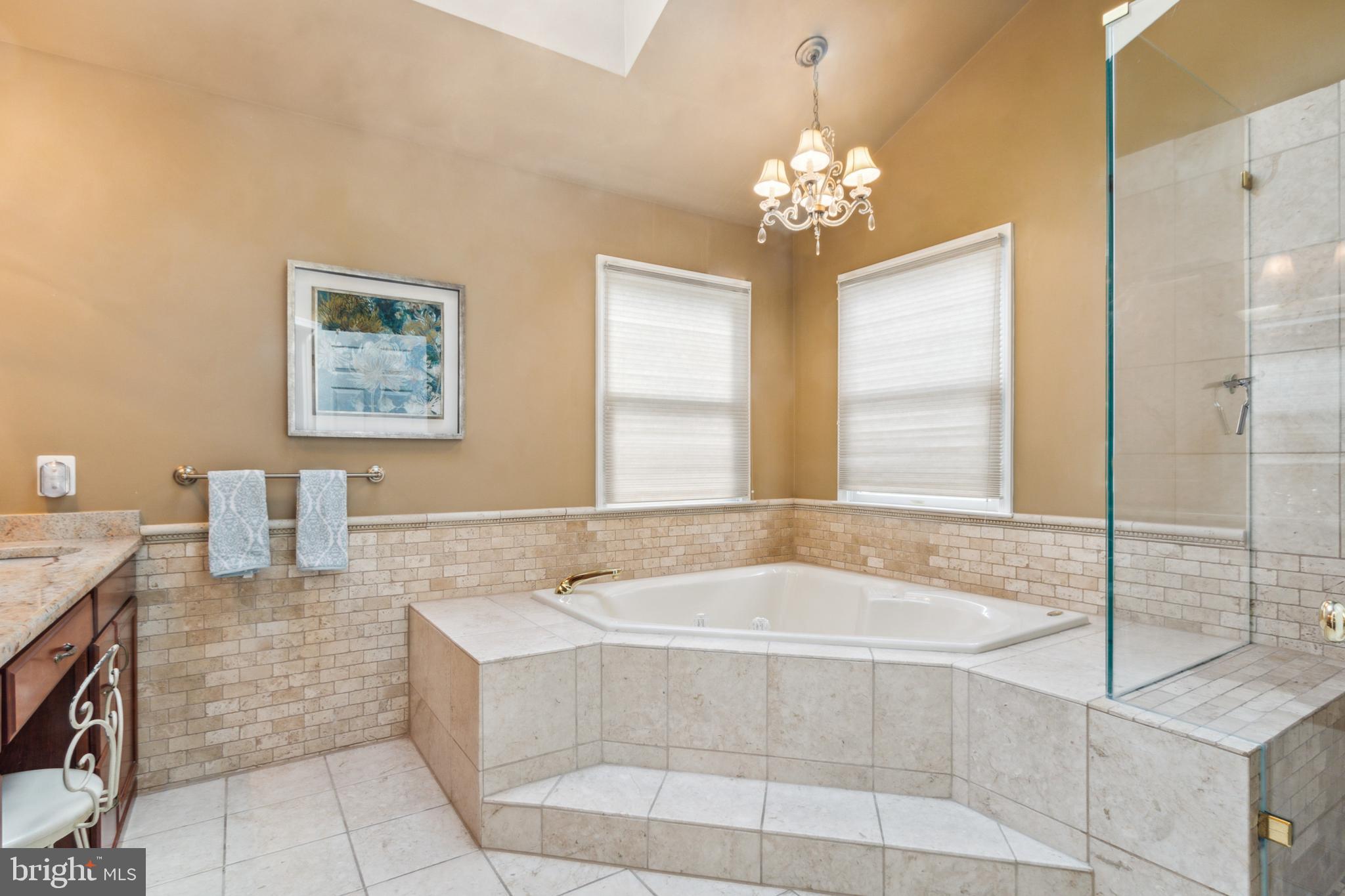 2922 Oak Shadow Drive Herndon, VA 20171 - Photo 33 of 60 Update Primary Bath