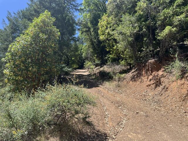 8980 Reading Creek Road Douglas City, CA 96024 - Photo 27 of 28