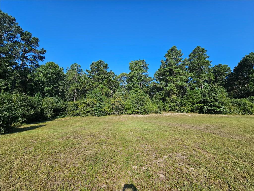 115 Burkheimer Road Saline, LA 71070 - Photo 3 of 18 Gallery Image 3