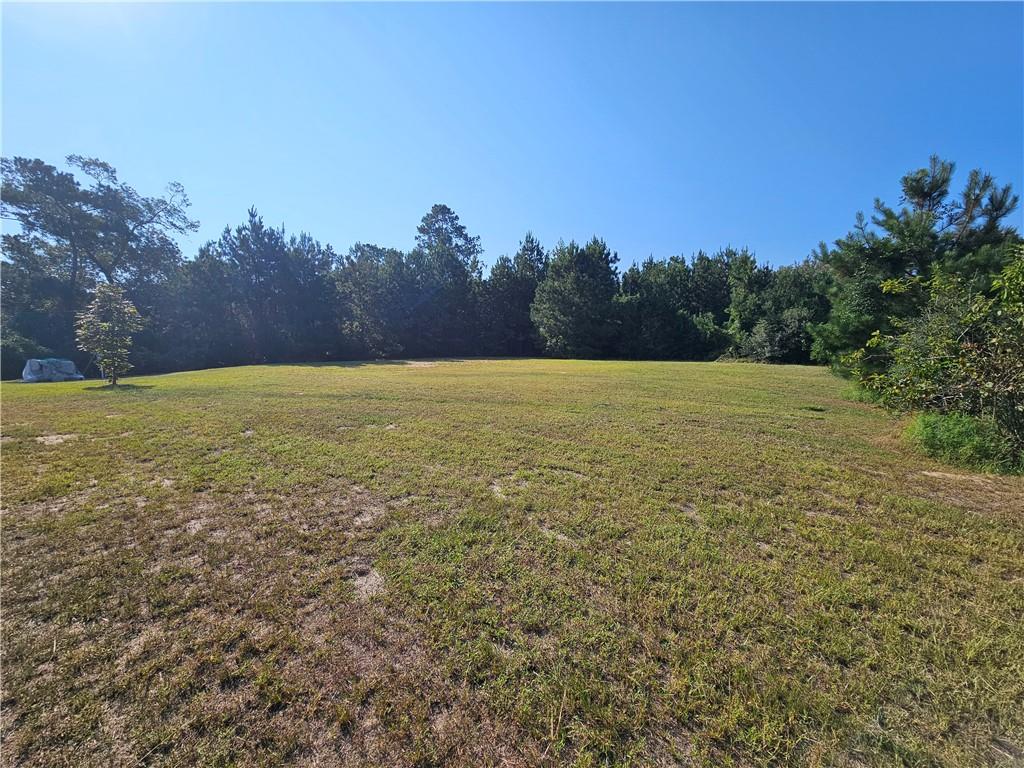 115 Burkheimer Road Saline, LA 71070 - Photo 4 of 18 Gallery Image 4