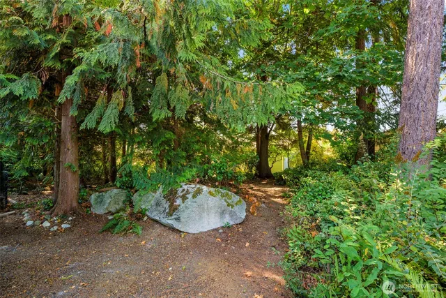 a view of a backyard