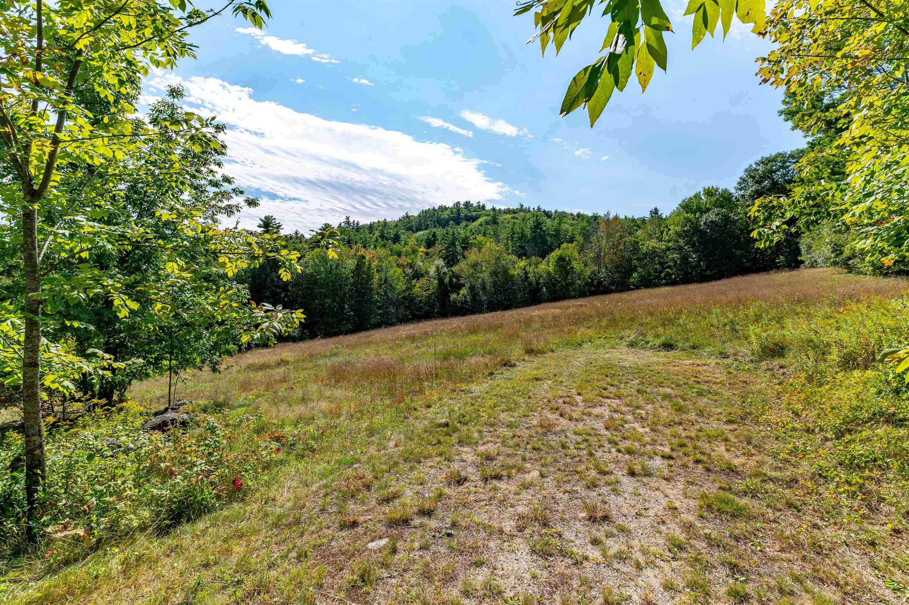 123 Youngs Hill Road Freedom, NH 03836 - Photo 44 of 51