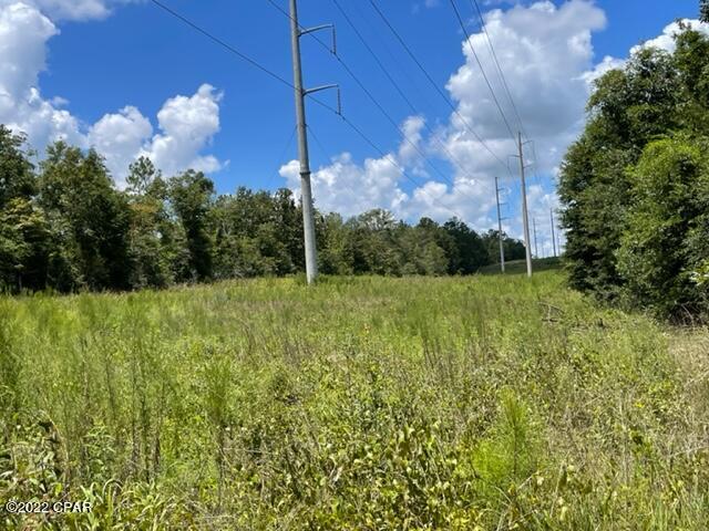 0 Skyview Road Marianna, FL 32446 - Photo 6 of 10
