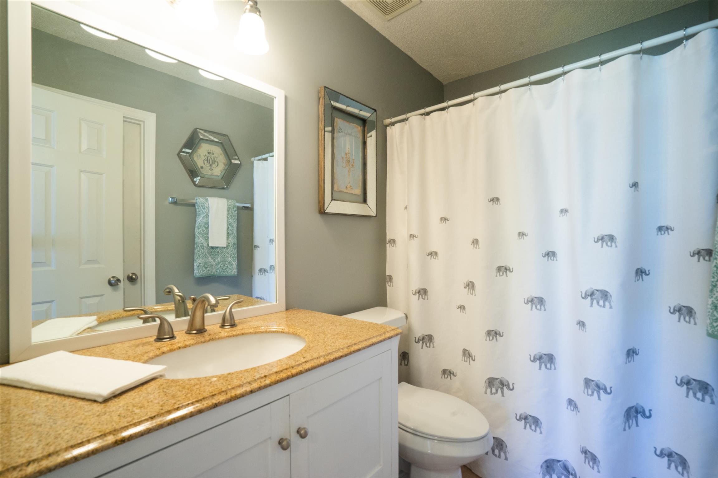 4002 Amber Way Spring Hill, TN 37174 - Photo 16 of 21 a bathroom with a granite countertop sink a toilet and a mirror