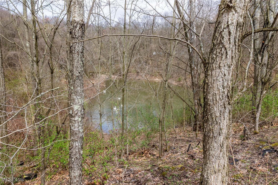 Oak Ridge Road Wellsville, OH 43968 - Photo 26 of 45 View of local wilderness featuring a wooded view