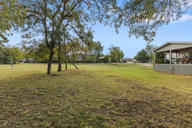 a view of a field with a tree
