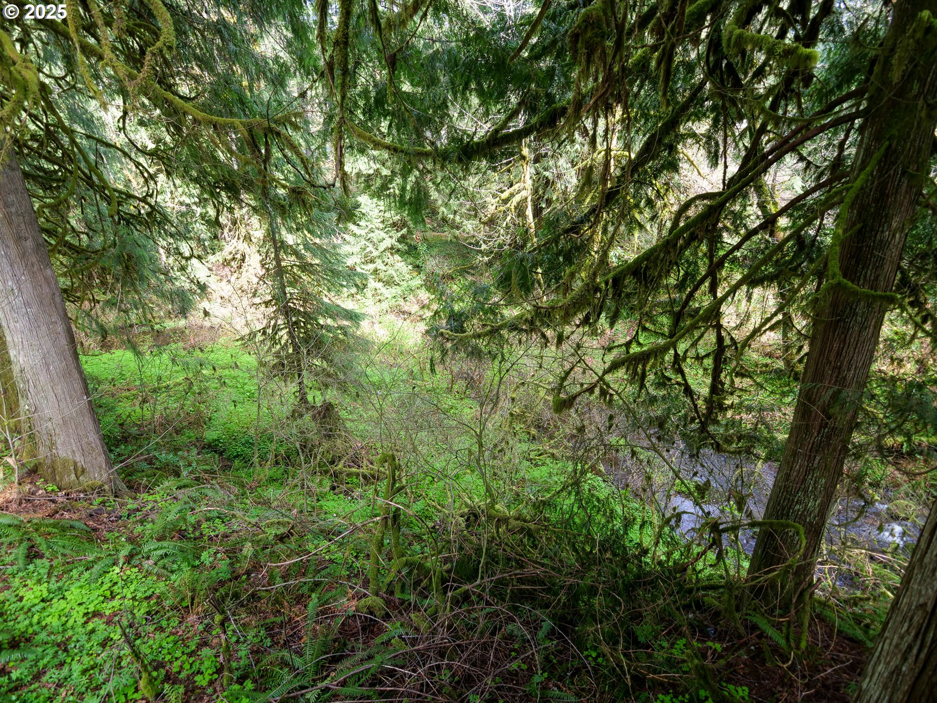 69947 East E Highway, Unit 1 Rhododendron, OR 97049 - Photo 11 of 25