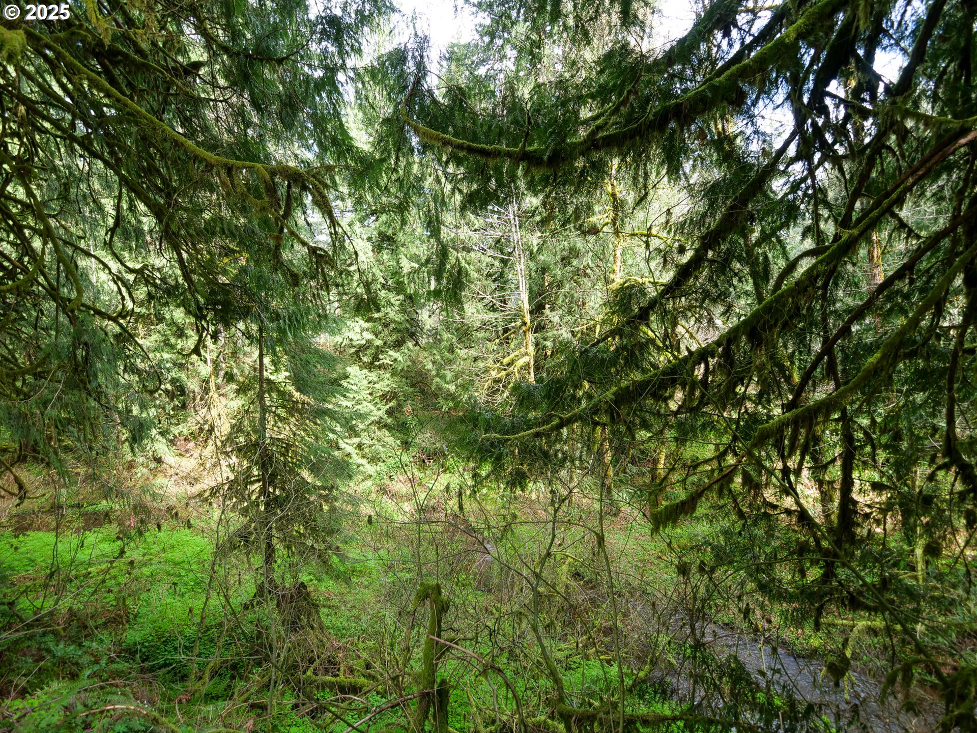 69947 East E Highway, Unit 1 Rhododendron, OR 97049 - Photo 17 of 25