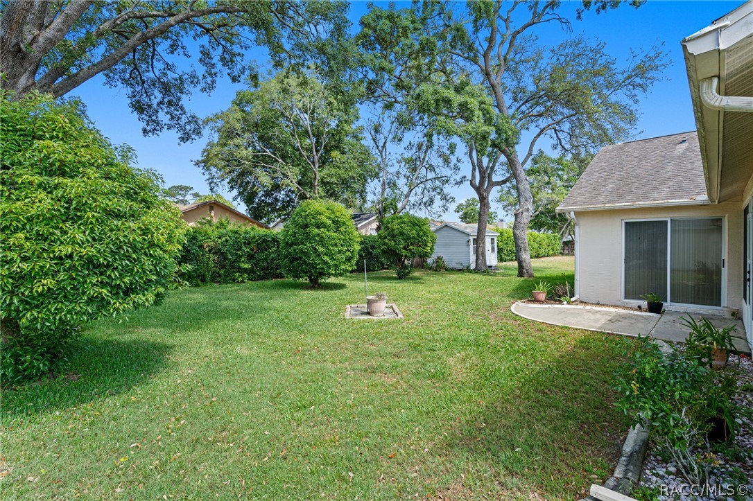 1241 Persian Avenue Spring Hill, FL 34608 - Photo 39 of 43