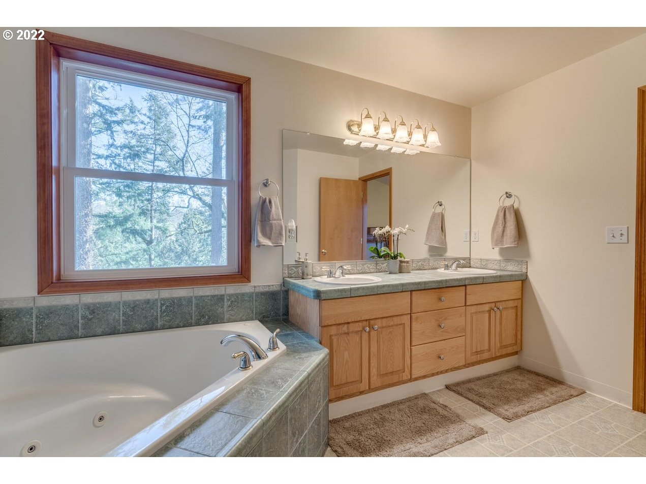 1012 57th Street Washougal, WA 98671 - Photo 21 of 31 a bathroom with a tub a sink and a large mirror