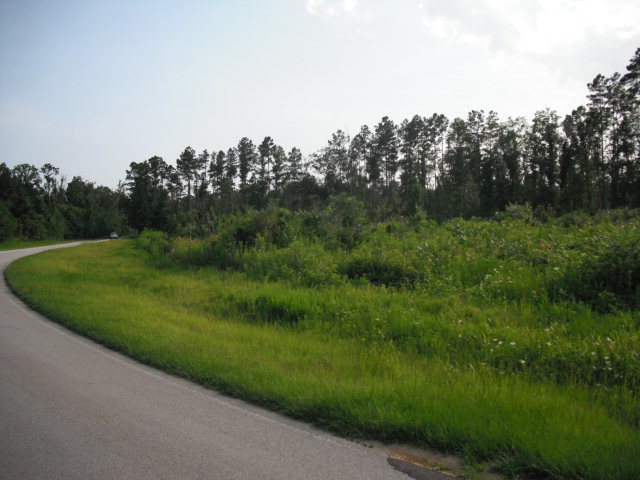10 Bennett Road New Bern, NC 28560 - Photo 1 of 1 Primary Photo