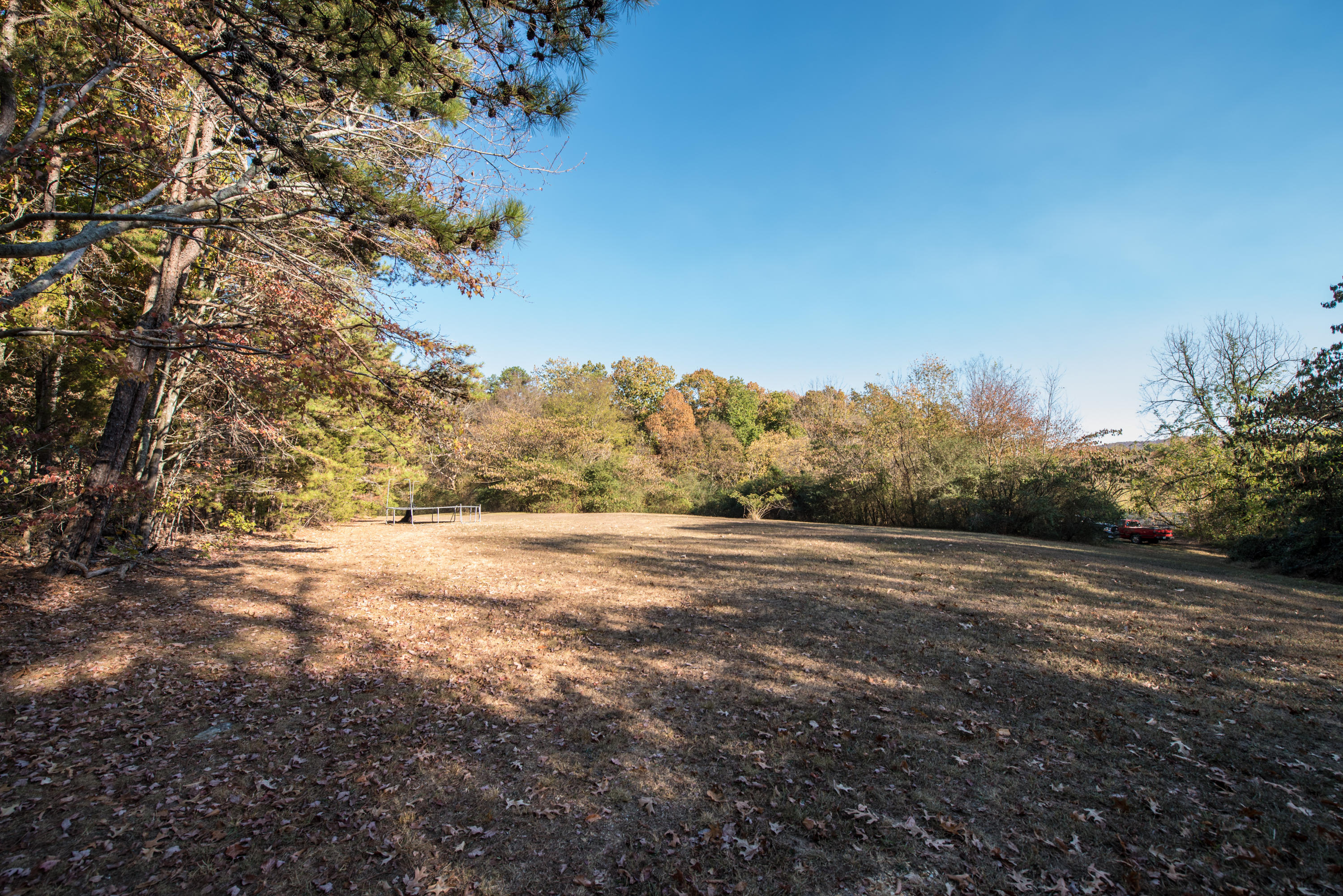 8819 Igou Gap Road Chattanooga, TN 37421 - Photo 5 of 24 Big Back Yard - 5 acres