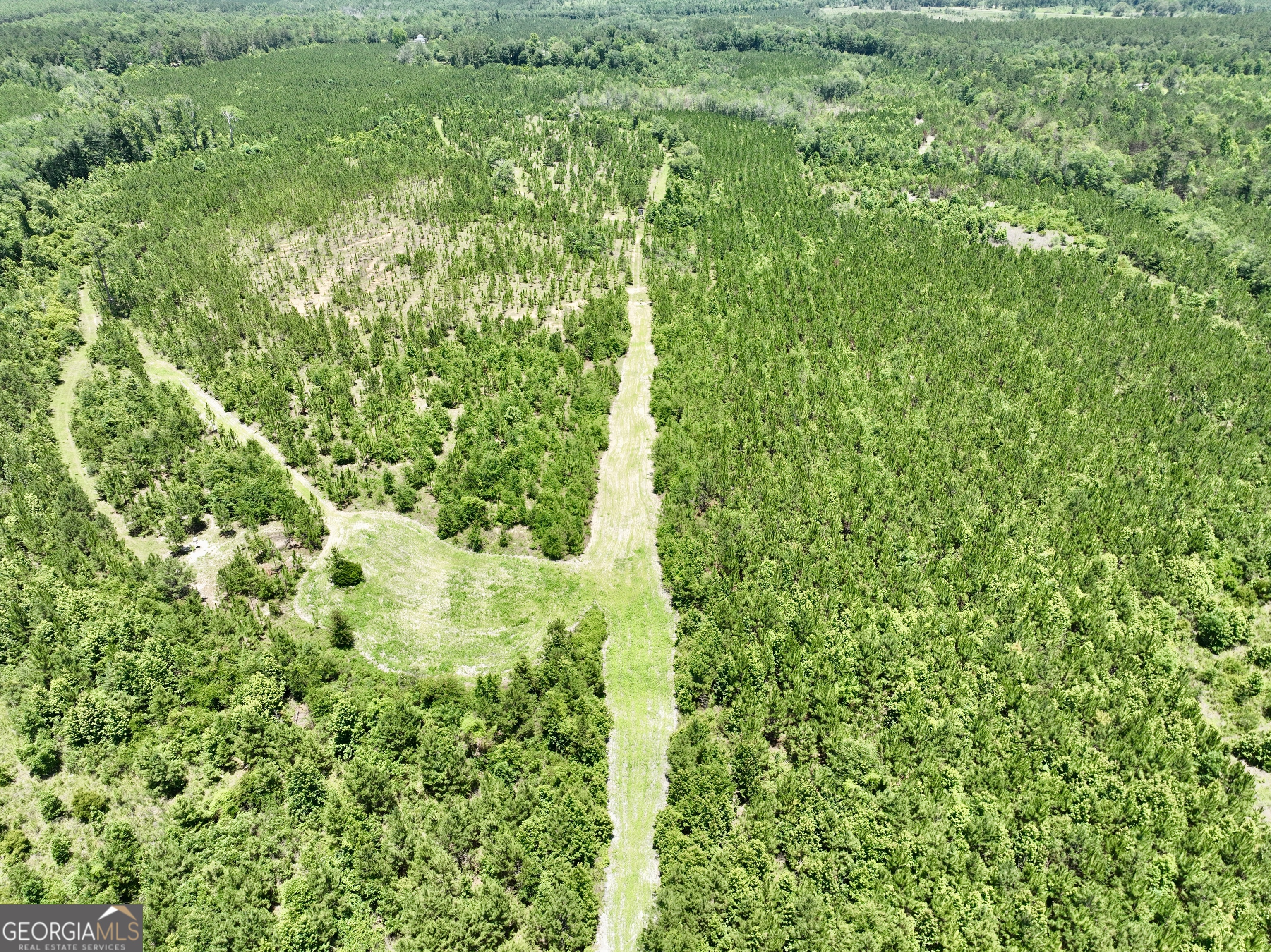 0 West River Road Rhine, GA 31077 - Photo 12 of 31