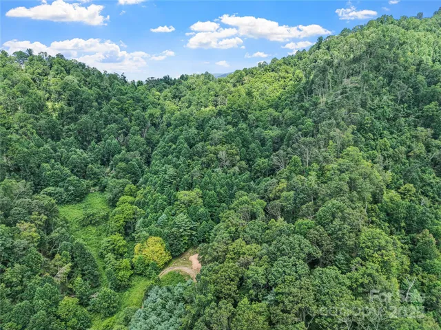a view of a green yard