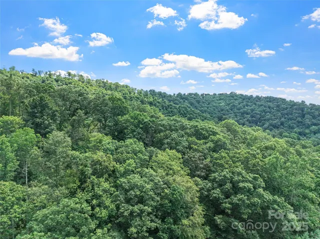 a view of a city with lush green forest