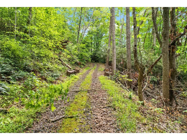 a view of yard with green space