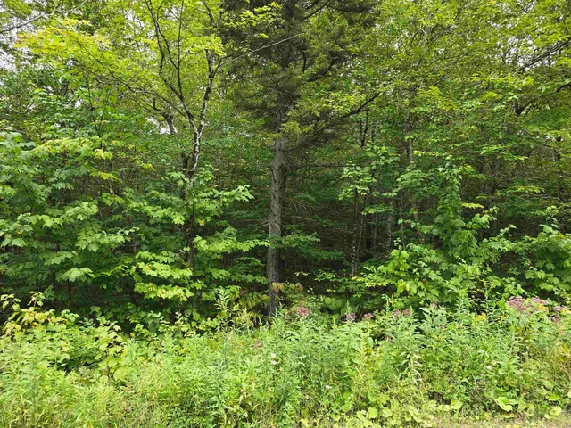 $39,500 | 0 Oberhugel Road, Readsboro, VT 05352