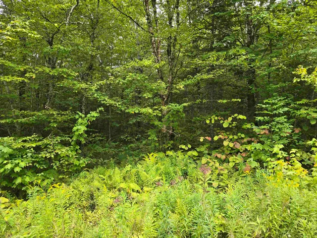 $39,500 | 0 Oberhugel Road, Readsboro, VT 05352