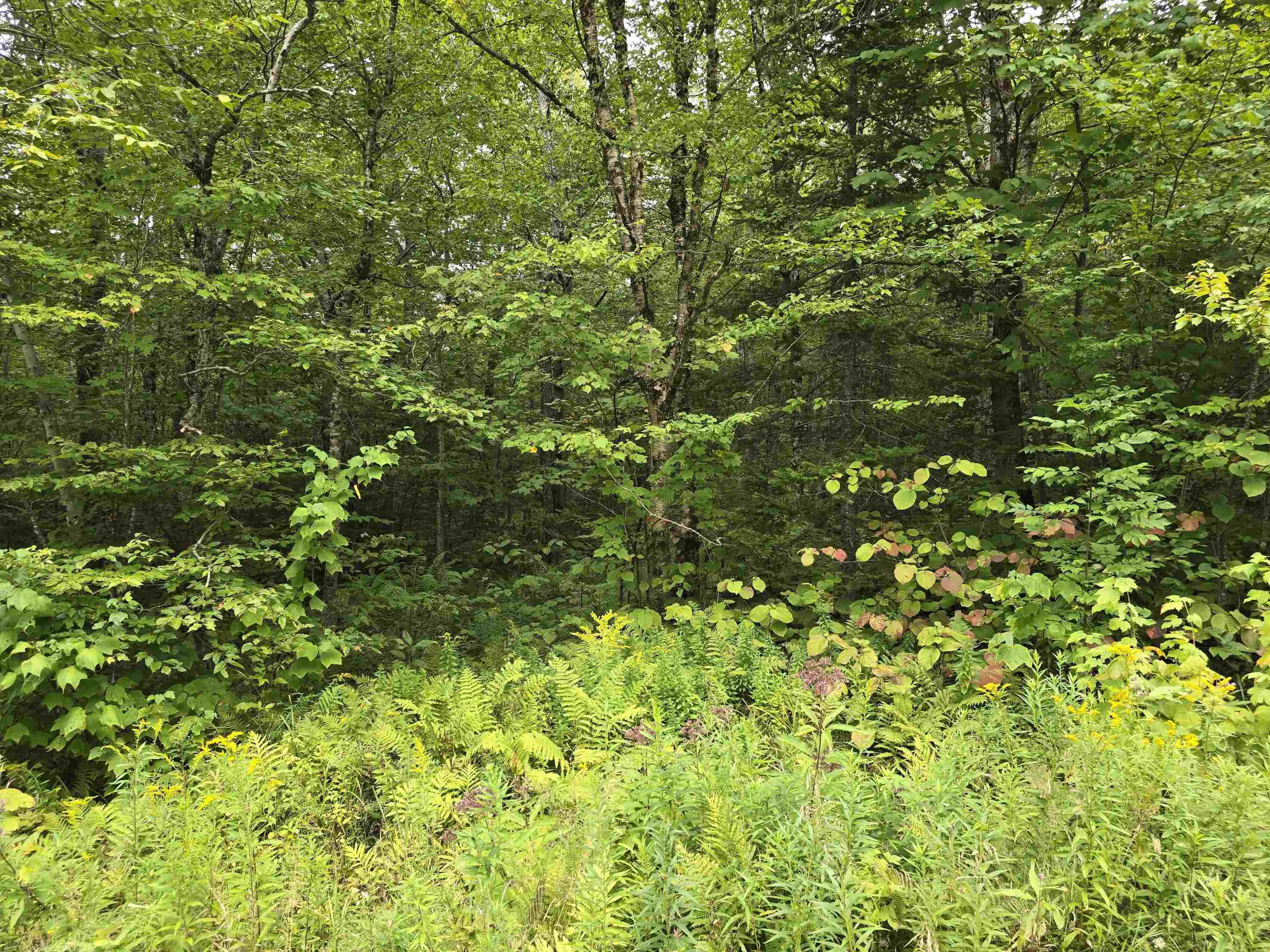 0 Oberhugel Road Readsboro, VT 05352 - Photo 2 of 4