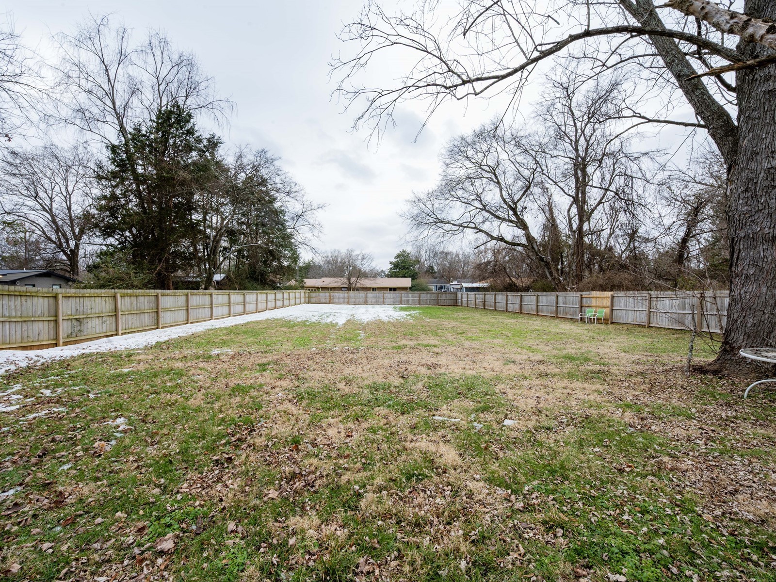 1611 White Boulevard Murfreesboro, TN 37129 - Photo 28 of 30 a view of a yard with a house and large trees