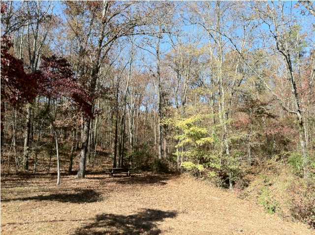 11549 Armstrong Road Soddy Daisy, TN 37379 - Photo 2 of 3 Additional Photo