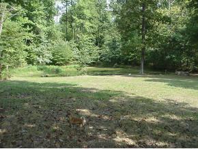12796 West Base Road Norman, IN 47264 - Photo 7 of 8 Gallery Image 7