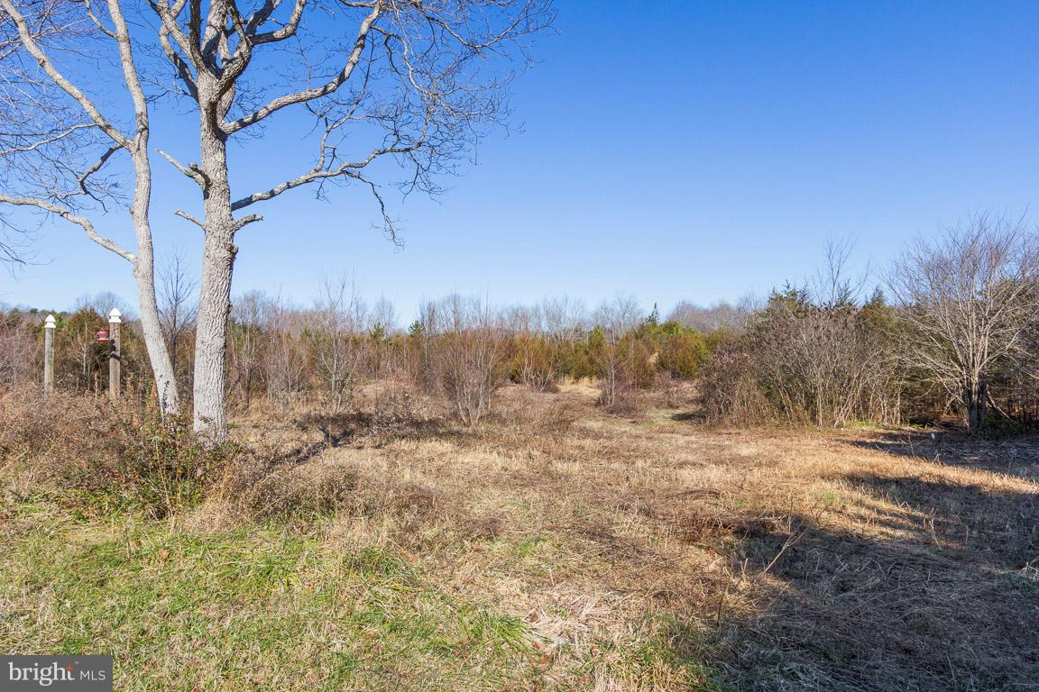 3141 Partlow Road Partlow, VA 22534 - Photo 25 of 25 a view of dirt yard and mountain view