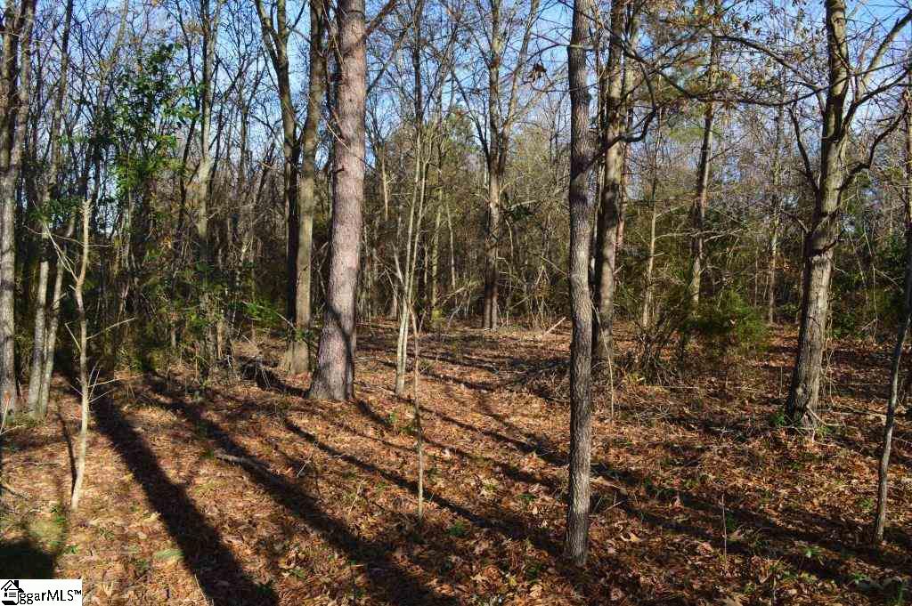 Fosters Grove Road Chesnee, SC 29323 - Photo 2 of 20