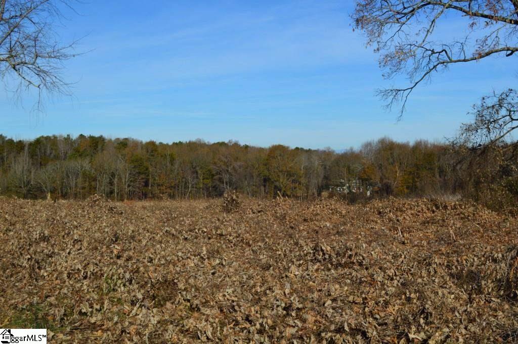 Fosters Grove Road Chesnee, SC 29323 - Photo 11 of 20