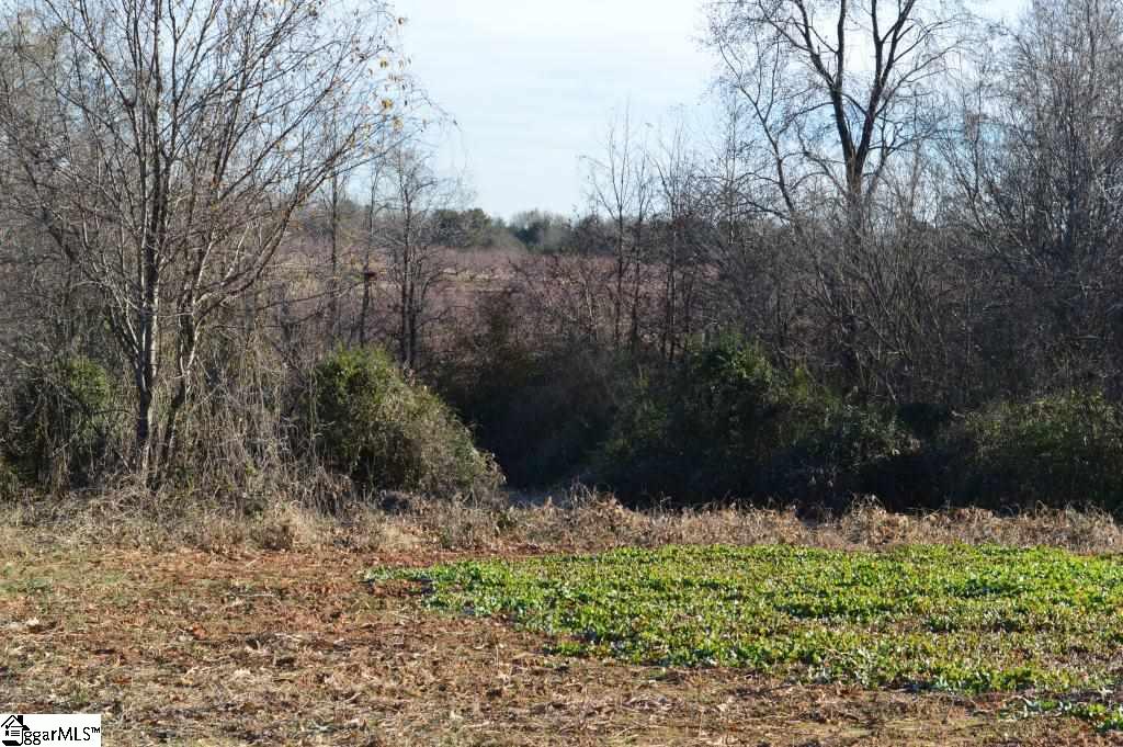 Fosters Grove Road Chesnee, SC 29323 - Photo 12 of 20