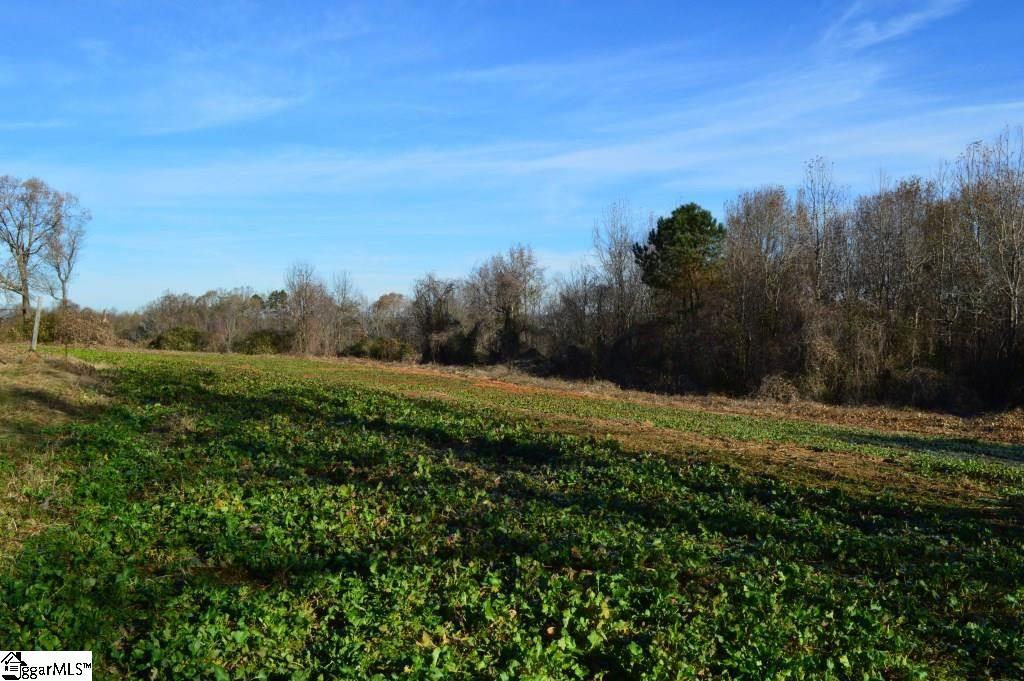 Fosters Grove Road Chesnee, SC 29323 - Photo 3 of 20