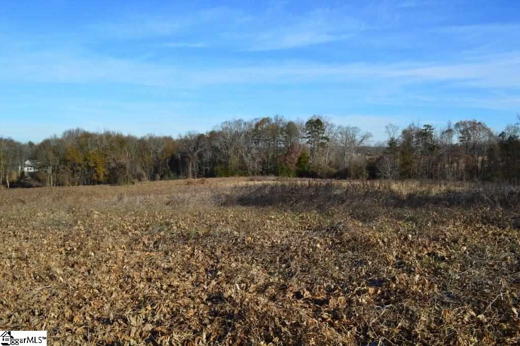 Fosters Grove Road Chesnee, SC 29323 - Photo 4 of 20