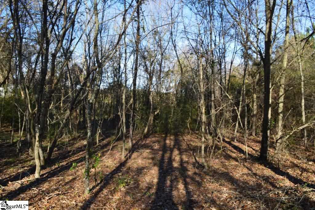 Fosters Grove Road Chesnee, SC 29323 - Photo 5 of 20
