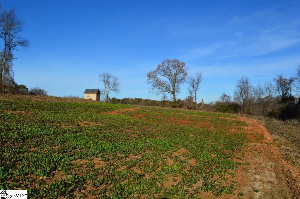 Fosters Grove Road Chesnee, SC 29323 - Photo 6 of 20