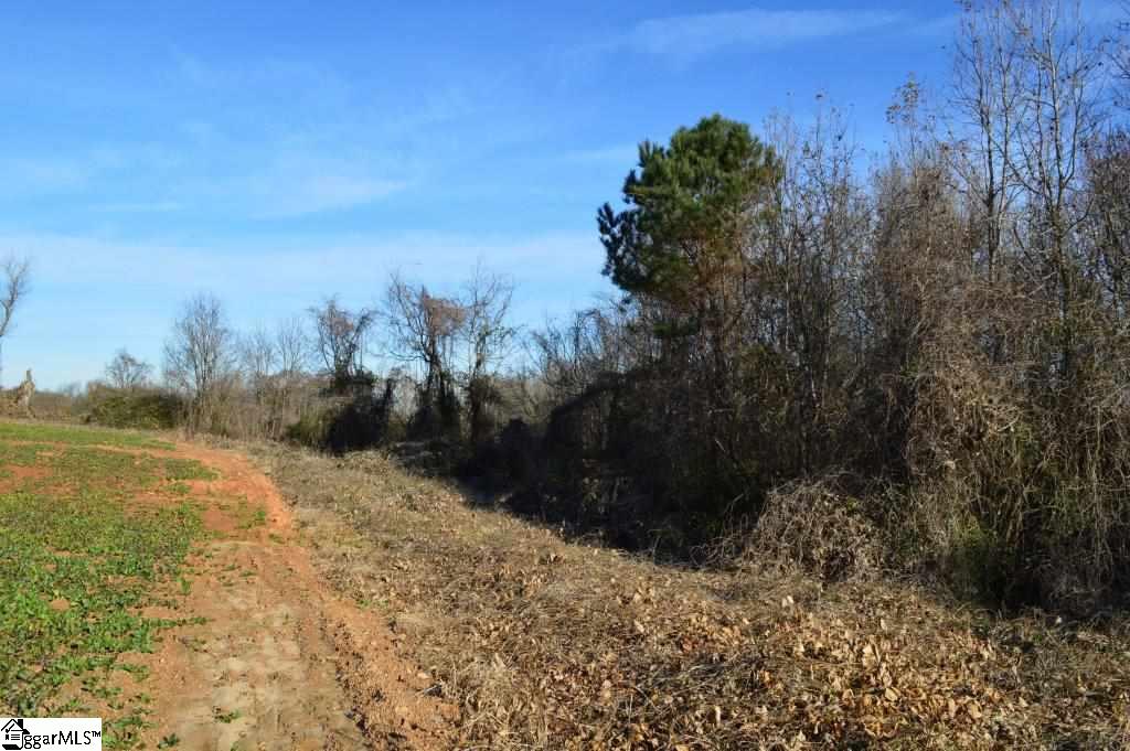Fosters Grove Road Chesnee, SC 29323 - Photo 7 of 20