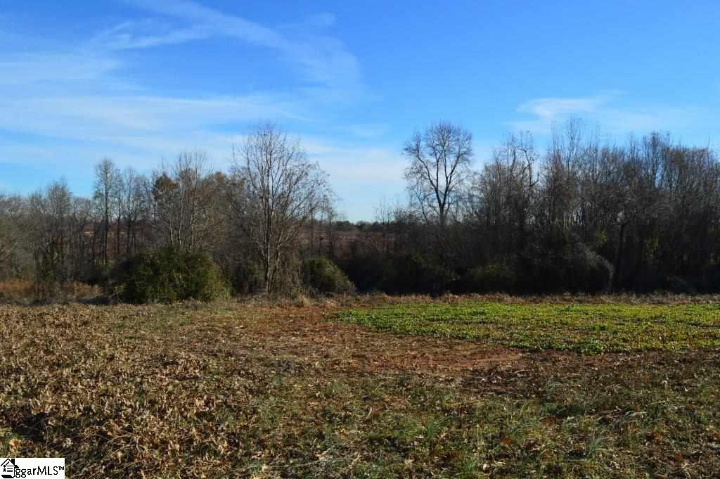 Fosters Grove Road Chesnee, SC 29323 - Photo 8 of 20