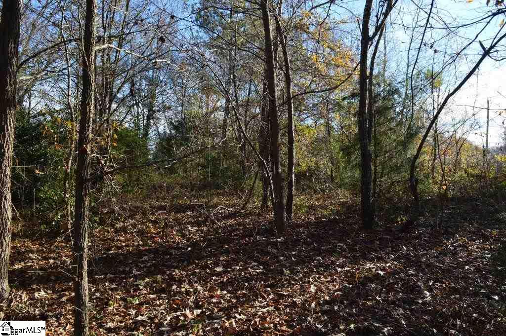 Fosters Grove Road Chesnee, SC 29323 - Photo 9 of 20