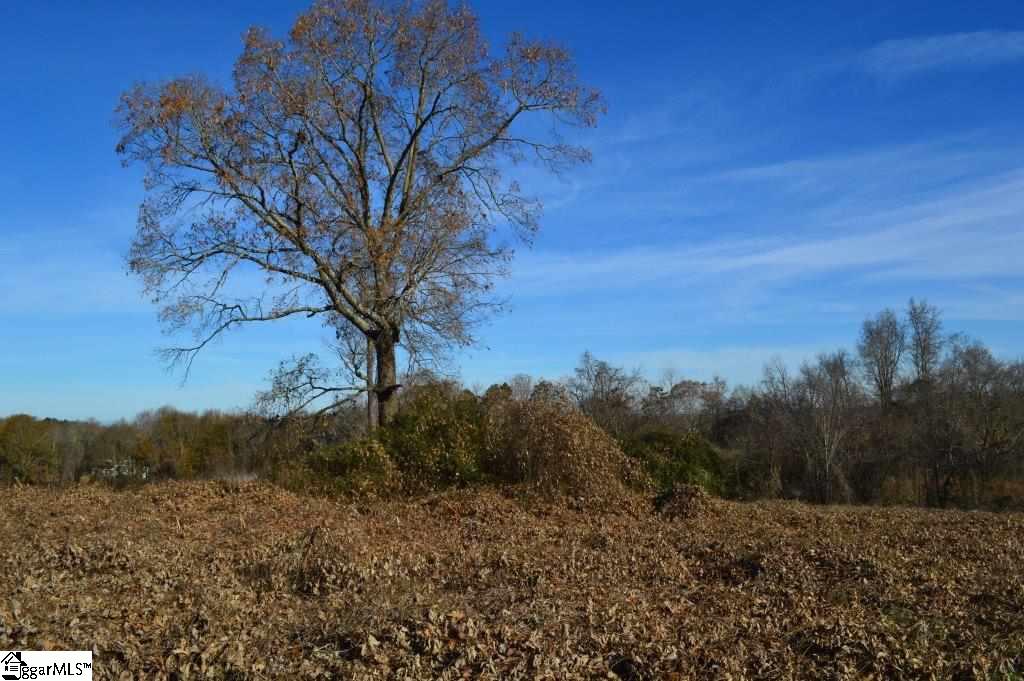 Fosters Grove Road Chesnee, SC 29323 - Photo 10 of 20