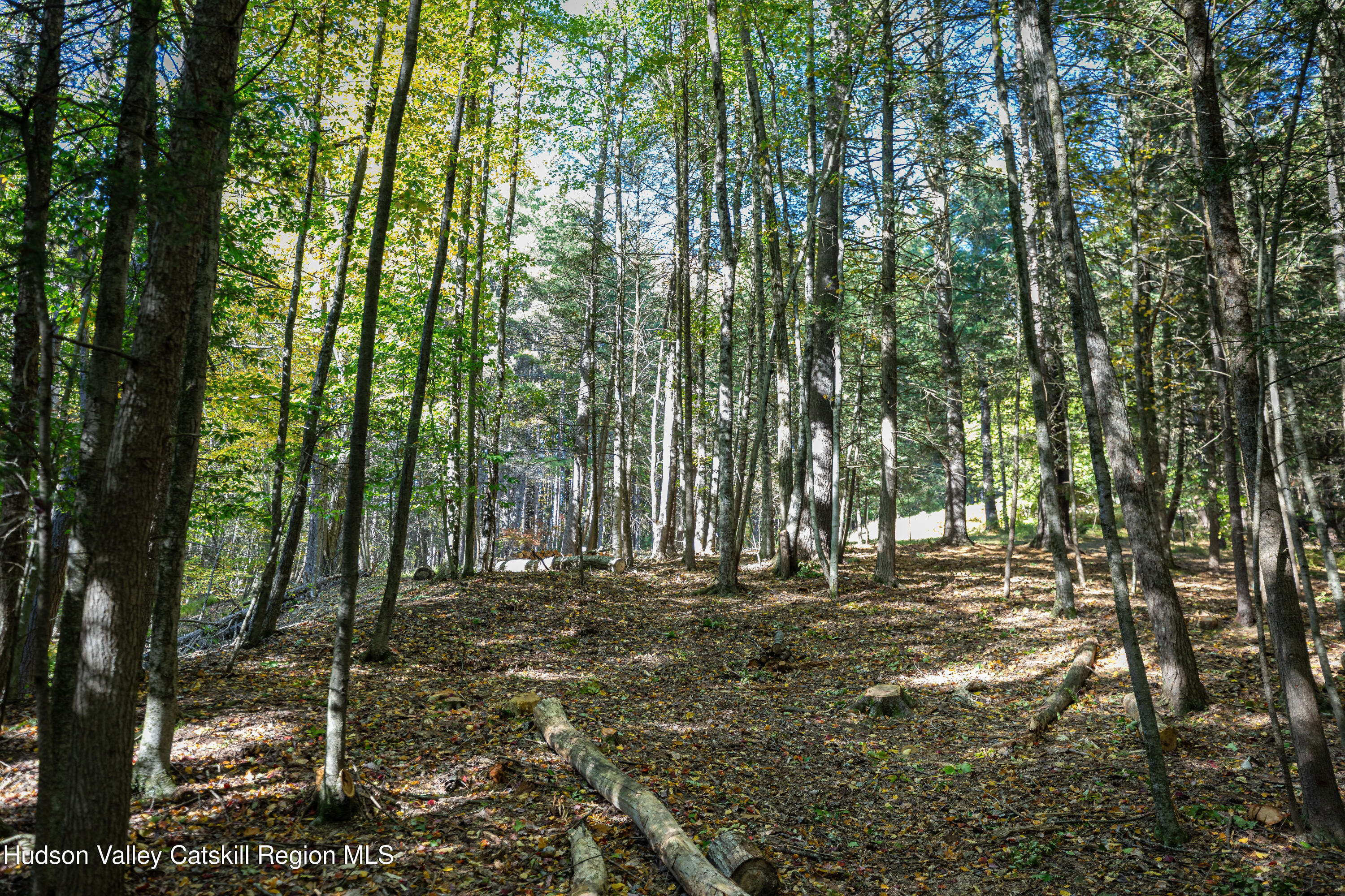 Tbd Dymond Road Kerhonkson, NY 12446 - Photo 11 of 14 11
