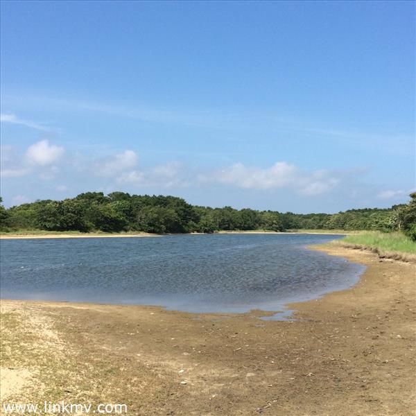 135 Middle Point Road West Tisbury, MA 02568 - Photo 10 of 10 http://d1qzqeyxiitrap.cloudfront.net/photos/33239/600/809ef139.jpg