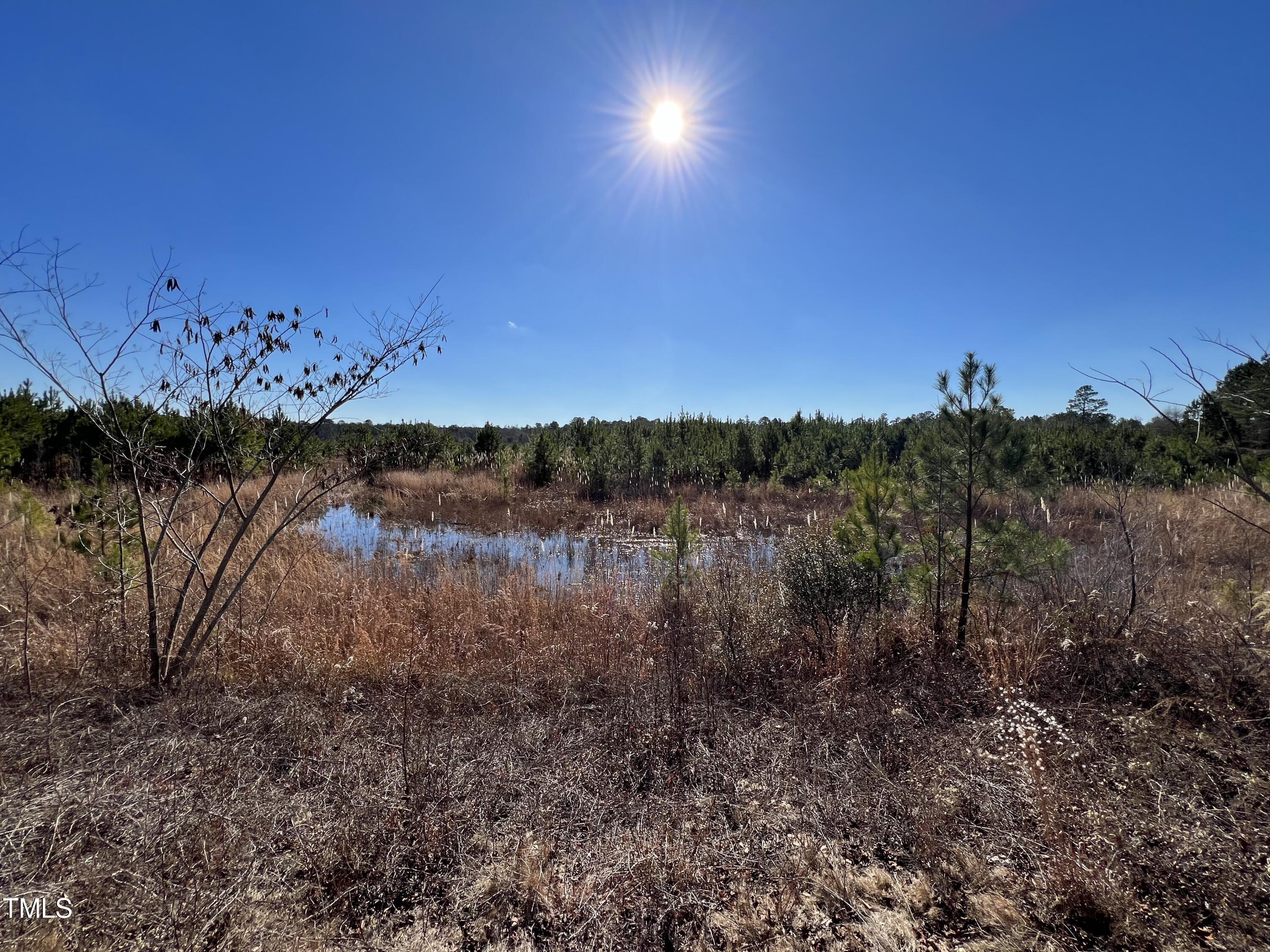 1 Josey Williams Road Erwin, NC 28339 - Photo 17 of 24 17