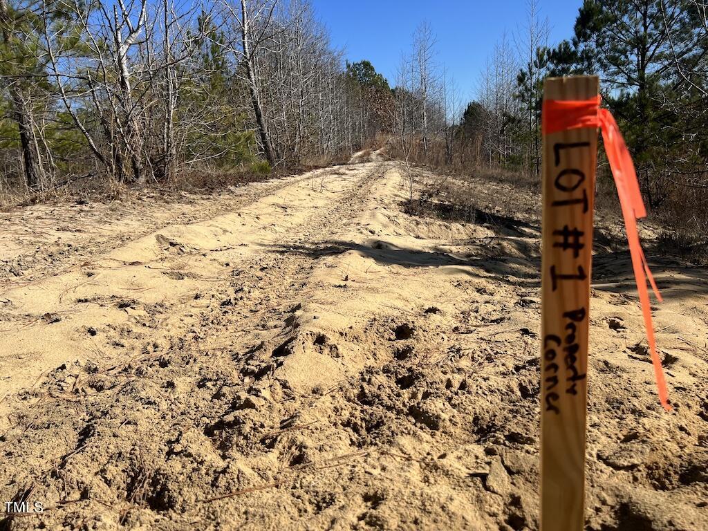 1 Josey Williams Road Erwin, NC 28339 - Photo 19 of 24 19