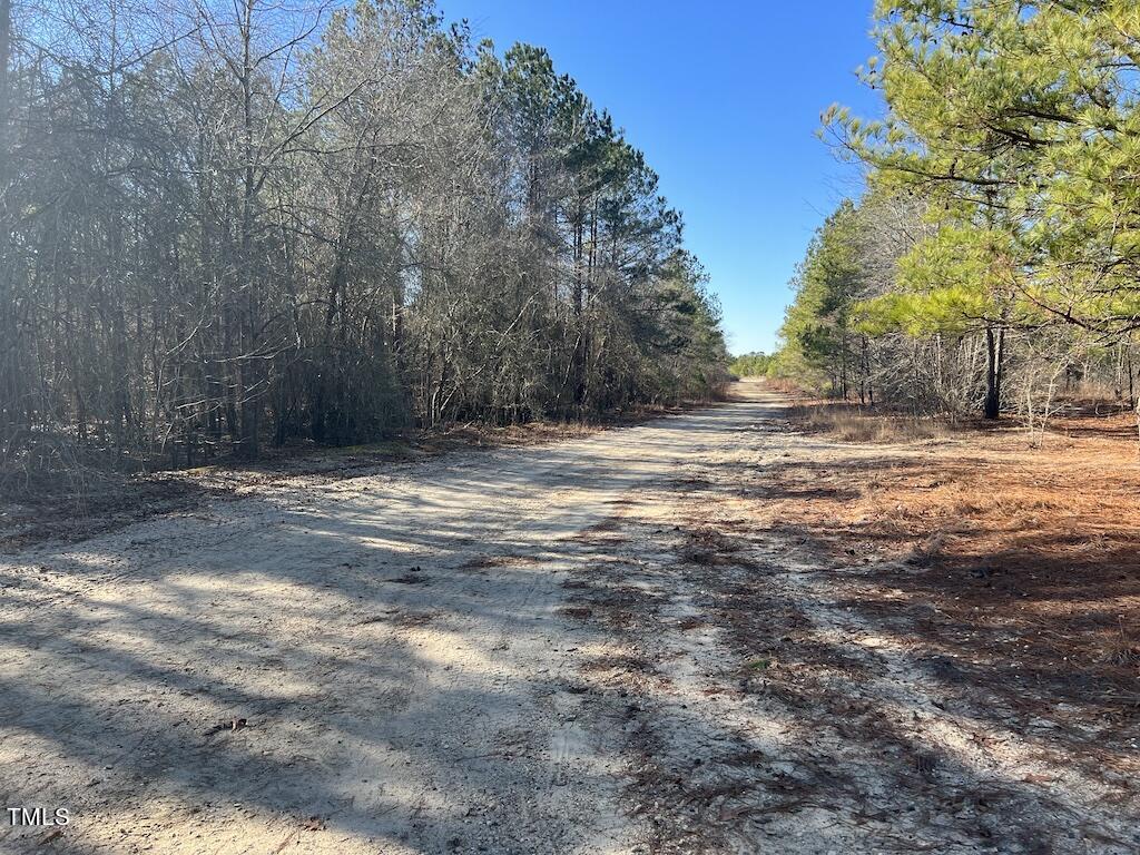 1 Josey Williams Road Erwin, NC 28339 - Photo 23 of 24 23
