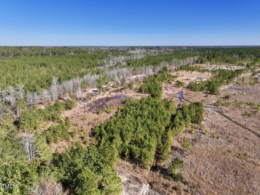1 Josey Williams Road Erwin, NC 28339 - Photo 3 of 24 3