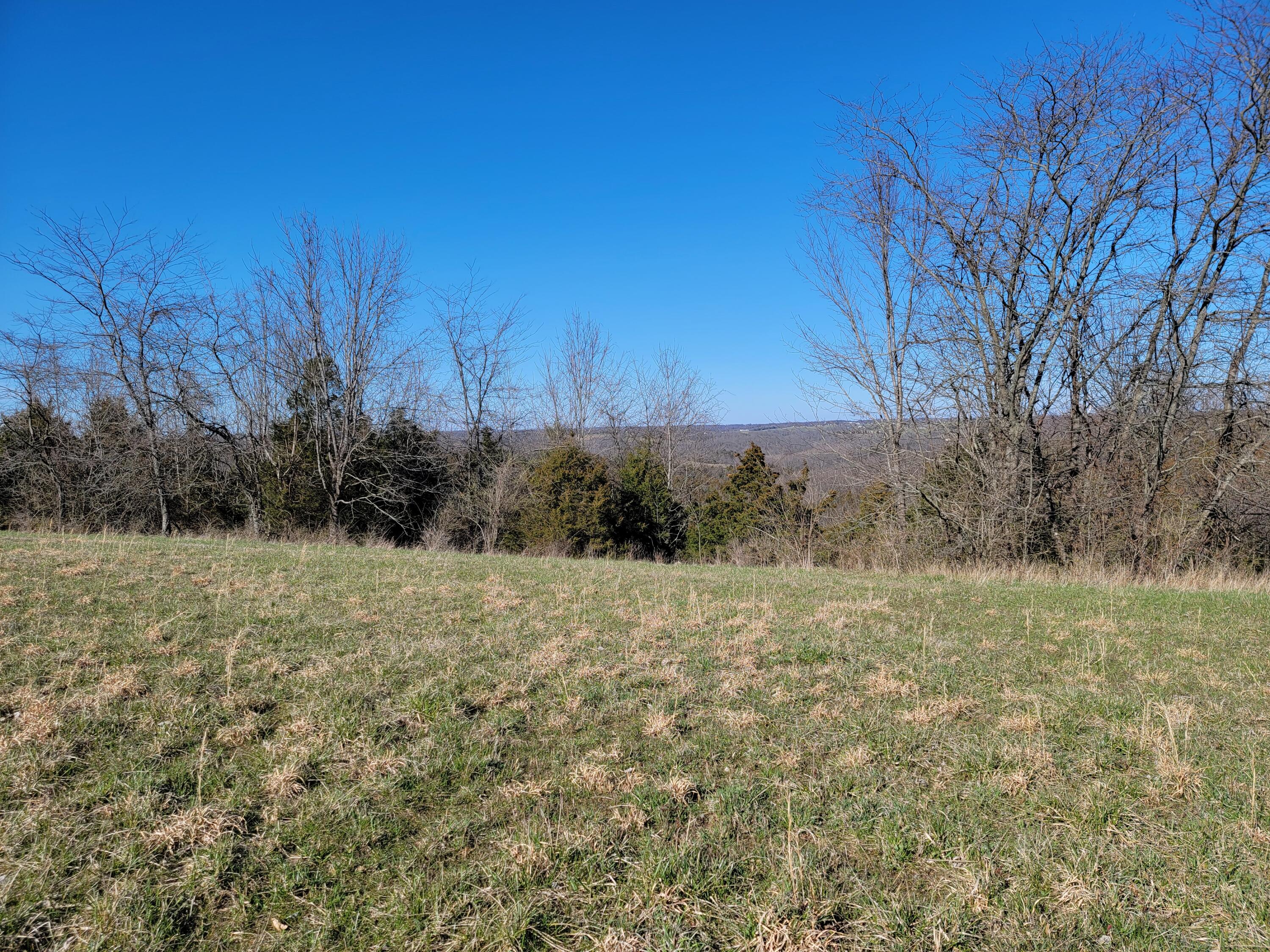 0 Pea Ridge Road Germantown, KY 41044 - Photo 4 of 6 Gallery Image 4