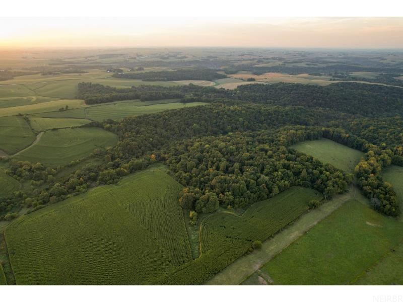 0 Gold Mine Road McGregor, IA 52157 - Photo 21 of 27 Gallery Image 21