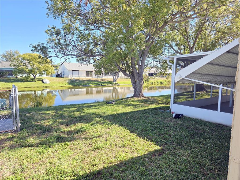 3604 Delta Place Holiday, FL 34691 - Photo 34 of 41 a view of outdoor space