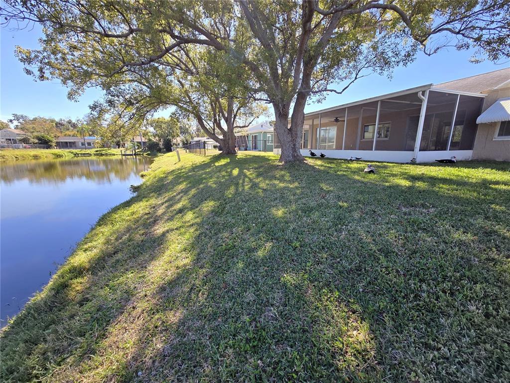 3604 Delta Place Holiday, FL 34691 - Photo 36 of 41 a view of a house with a yard