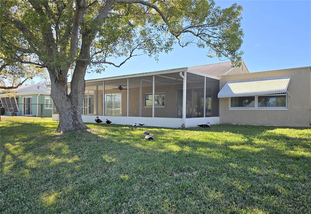 3604 Delta Place Holiday, FL 34691 - Photo 37 of 41 a view of a house with a yard